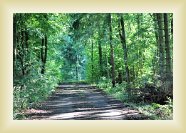 IMG_9449 * 4272 x 2848 * (4.93MB)