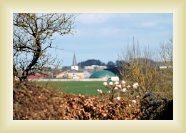 IMG_9464 * 4272 x 2848 * (1.8MB)