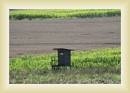 IMG_9518 * 4272 x 2848 * (7.07MB)