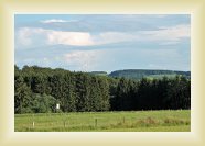 IMG_9519 * 4272 x 2848 * (2.67MB)